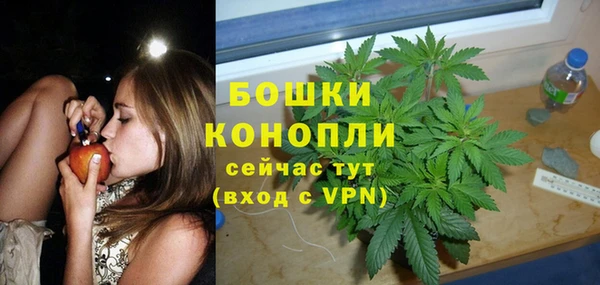 гидропоника Пересвет